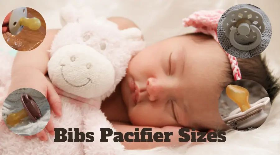 Bibs Pacifier Sizes: The Complete Guide (Must KNOW!)