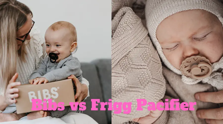 Bibs vs Frigg Pacifier: Differences (Which is Better?)