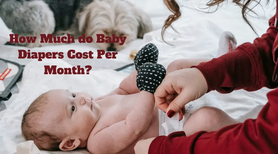 How Much do Baby Diapers Cost Per Month? (Updated!)