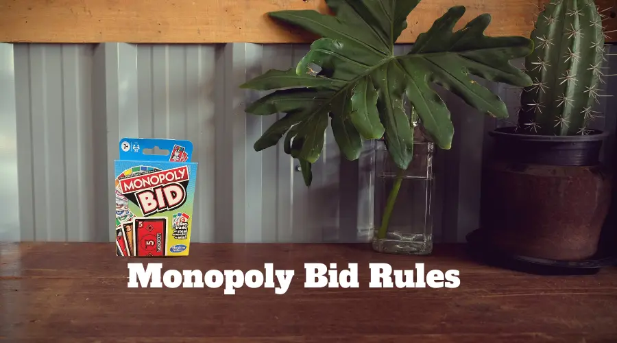 Monopoly Bid Rules