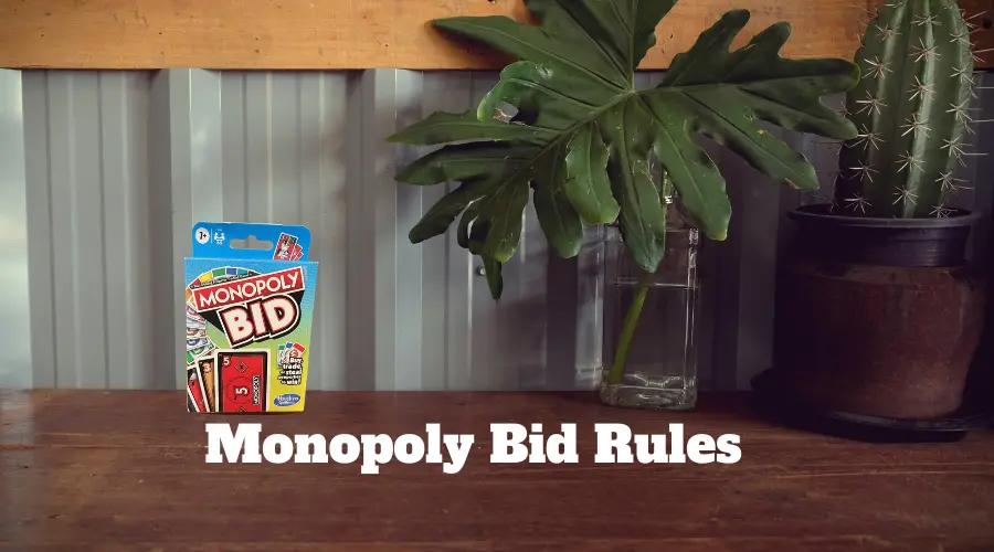 How to Play Monopoly Bid? Its Rules Explained